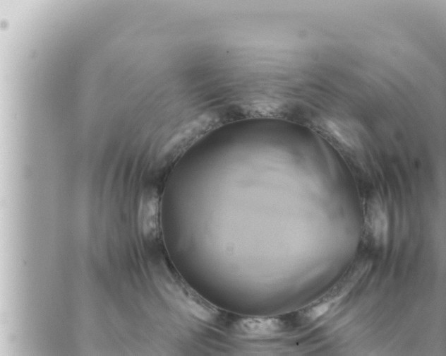 X0000088600526200706011206