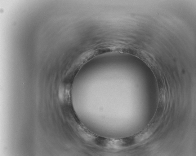 X0000088600527200706011206