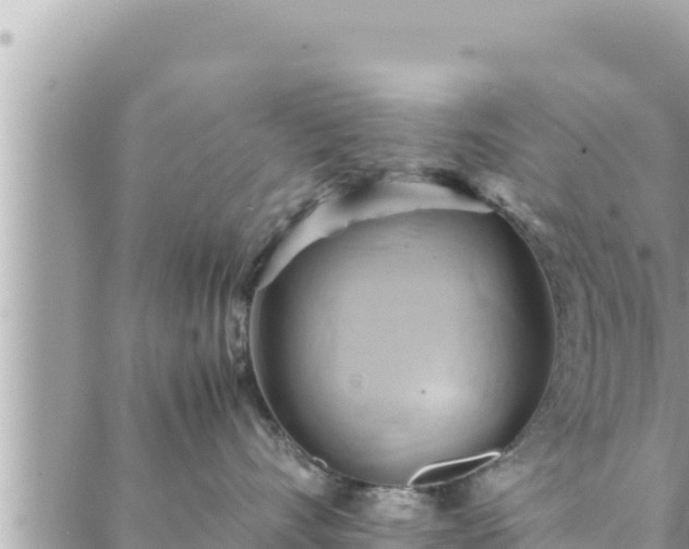 X0000088600528200706011206