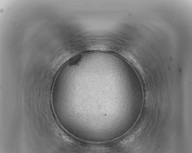 X0000088600529200706011205