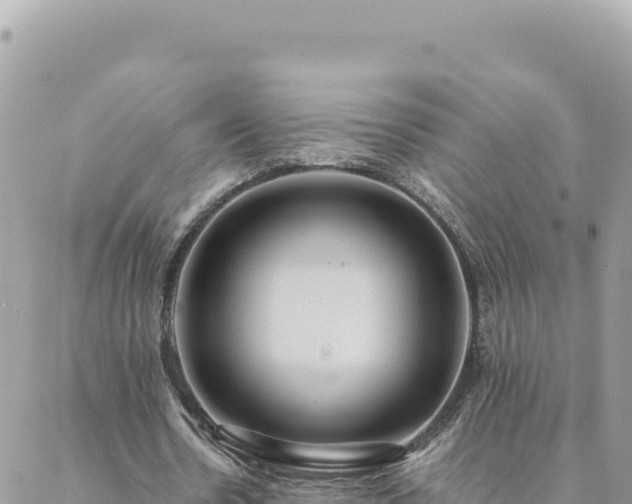 X0000088600530200706011205