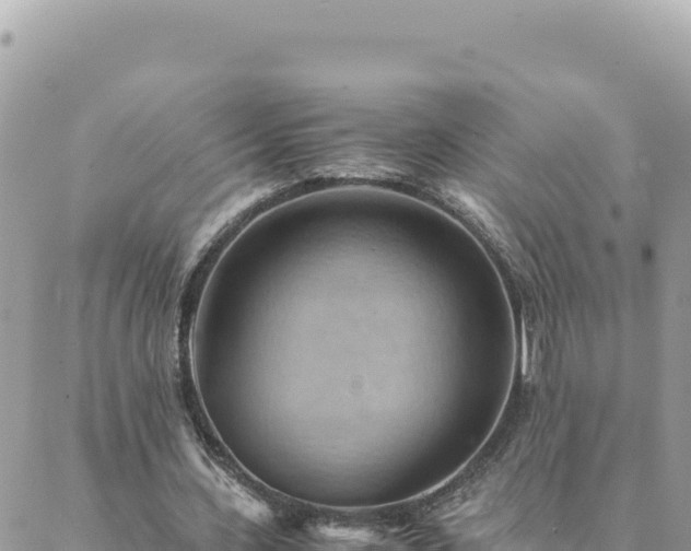 X0000088600531200706011205