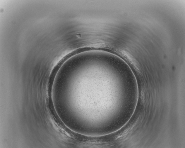 X0000088600532200706011205