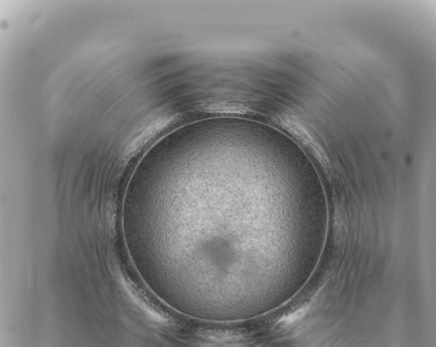 X0000088600533200706011205