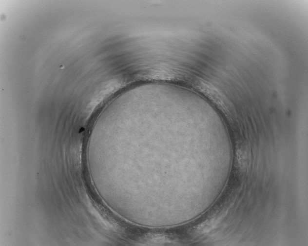 X0000088600534200706011205