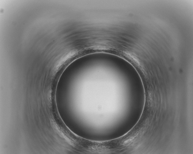 X0000088600535200706011205