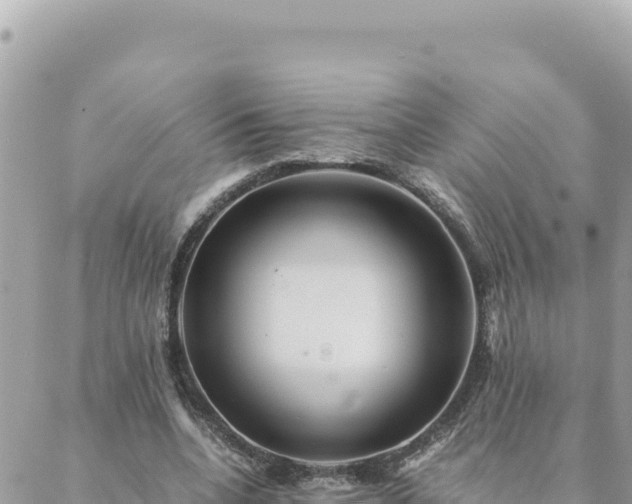 X0000088600536200706011205