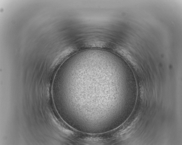 X0000088600537200706011205