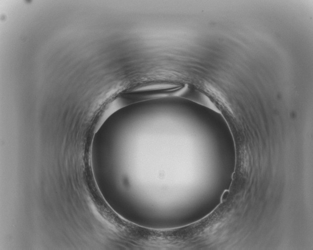 X0000088600538200706011205