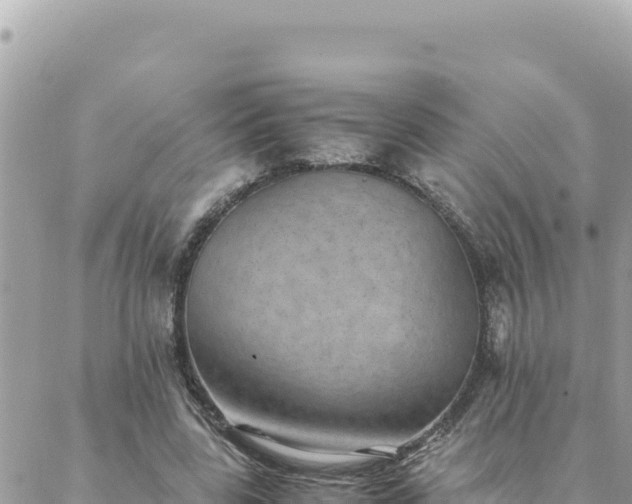 X0000088600539200706011205