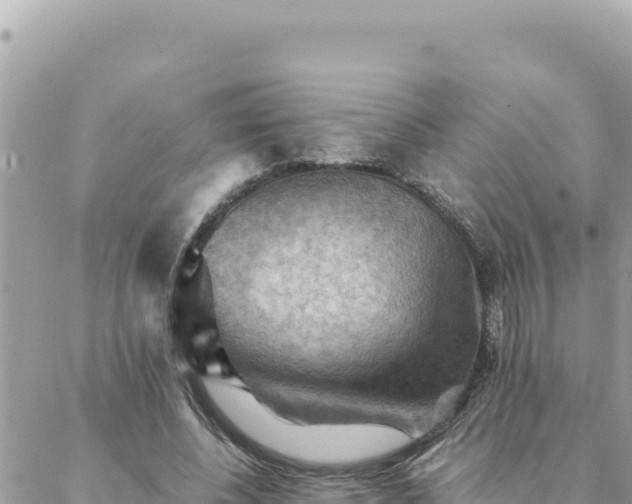 X0000088600540200706011205