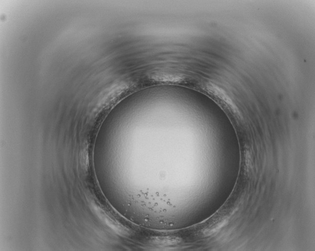 X0000088600541200706011205