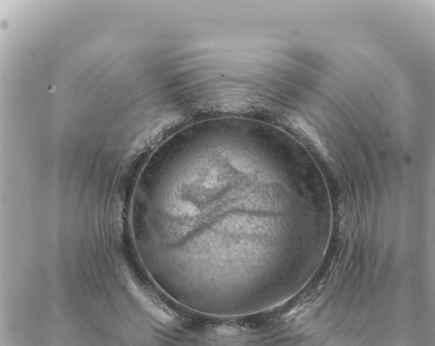 X0000088600542200706011205