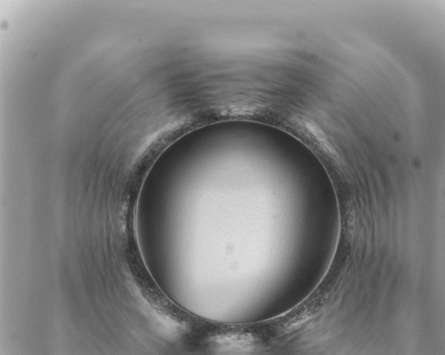 X0000088600543200706011205