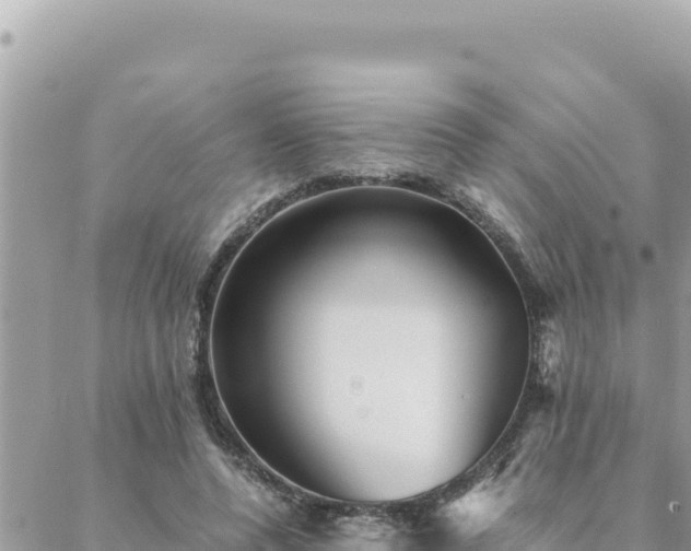 X0000088600544200706011205