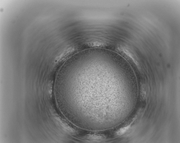 X0000088600545200706011205