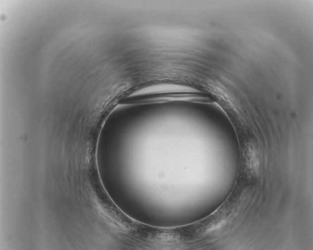 X0000088600546200706011205