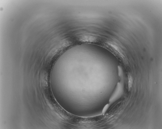 X0000088600547200706011205