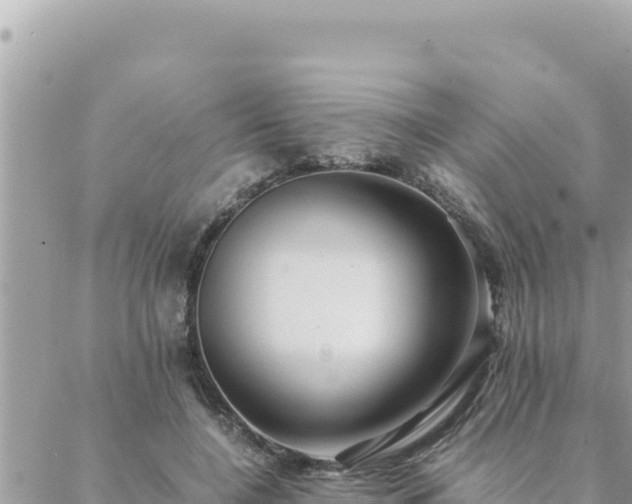 X0000088600548200706011205