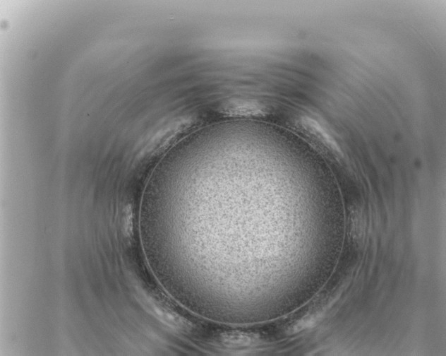 X0000088600549200706011205