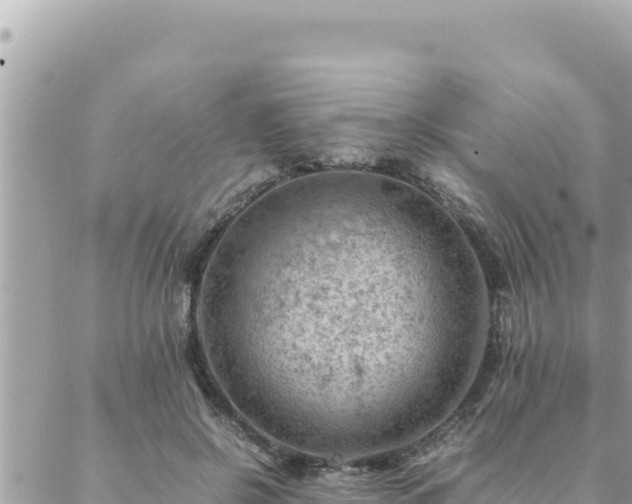 X0000088600550200706011205