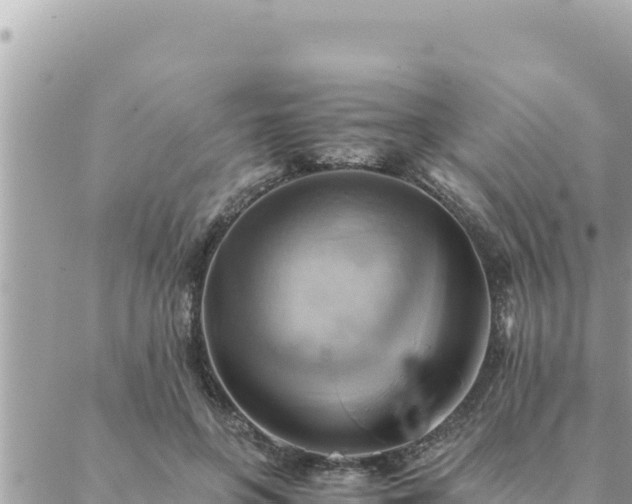 X0000088600551200706011205