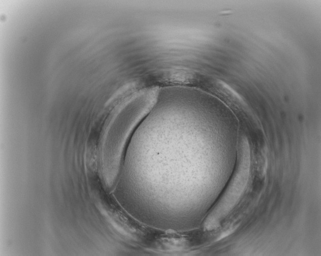 X0000088600552200706011205