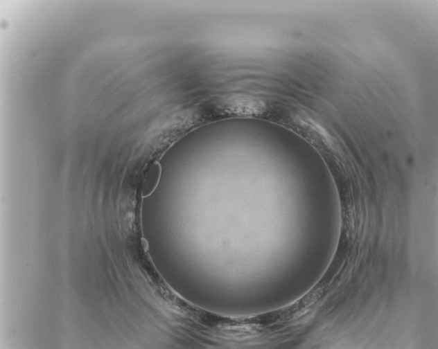 X0000088600553200706011205