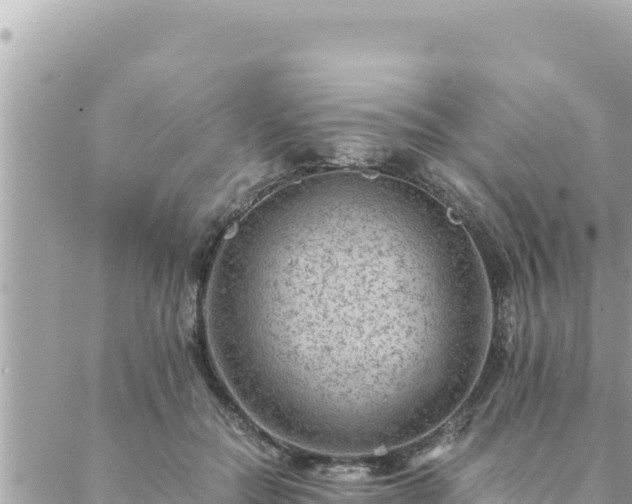 X0000088600554200706011205