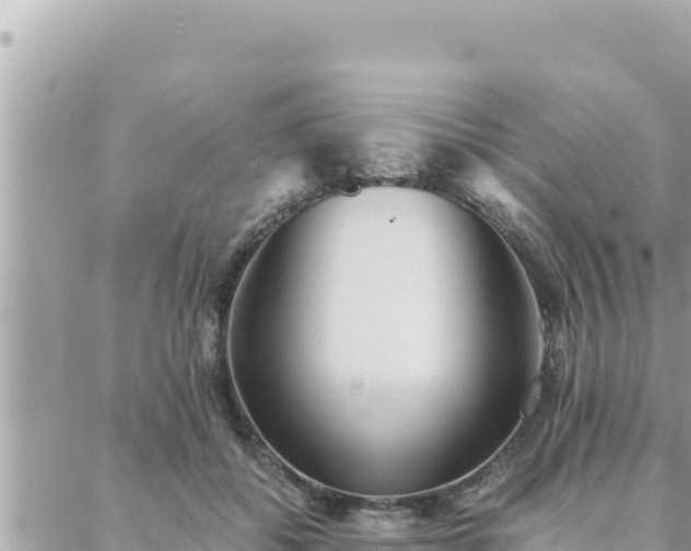 X0000088600556200706011205