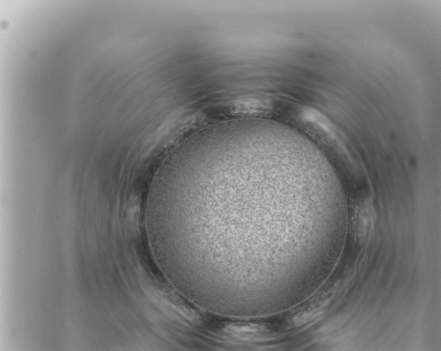 X0000088600557200706011205