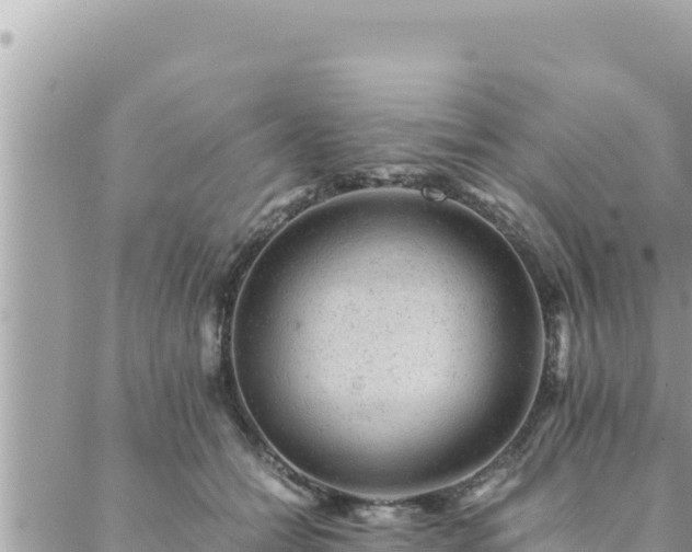 X0000088600558200706011205