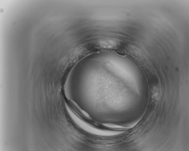 X0000088600559200706011205