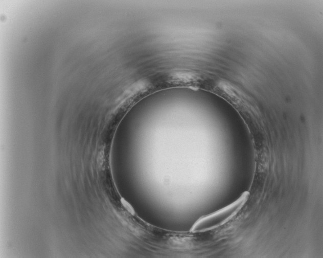 X0000088600560200706011205