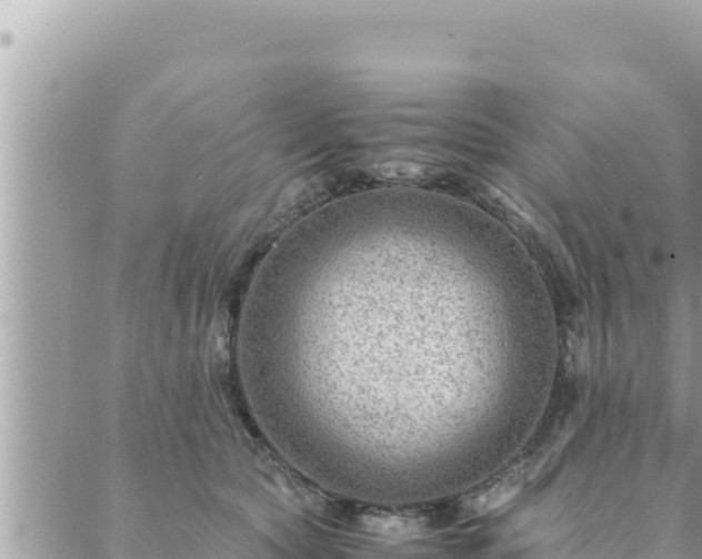 X0000088600561200706011205