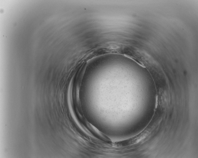 X0000088600562200706011205