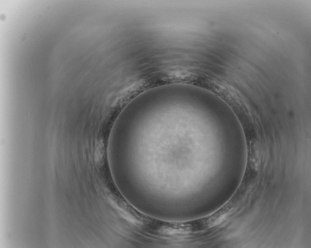 X0000088600563200706011205