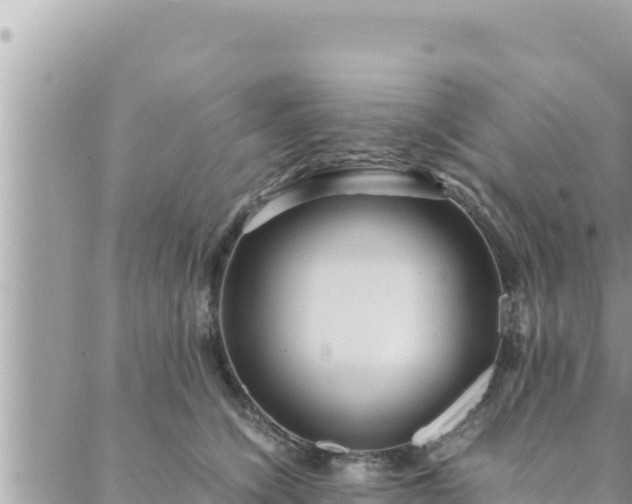 X0000088600564200706011205