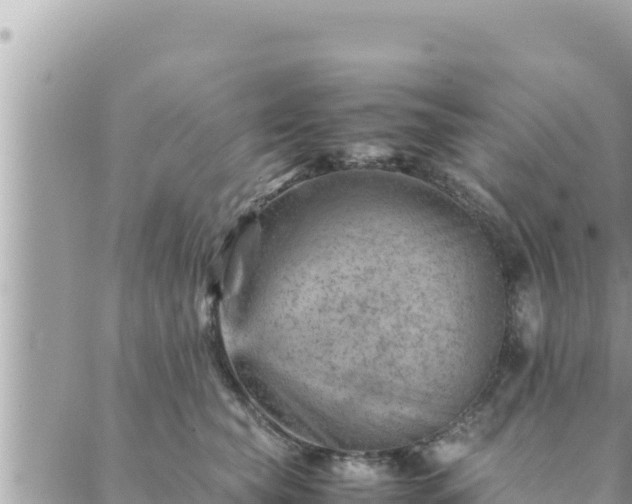 X0000088600565200706011205