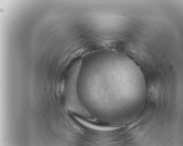 X0000088600566200706011205