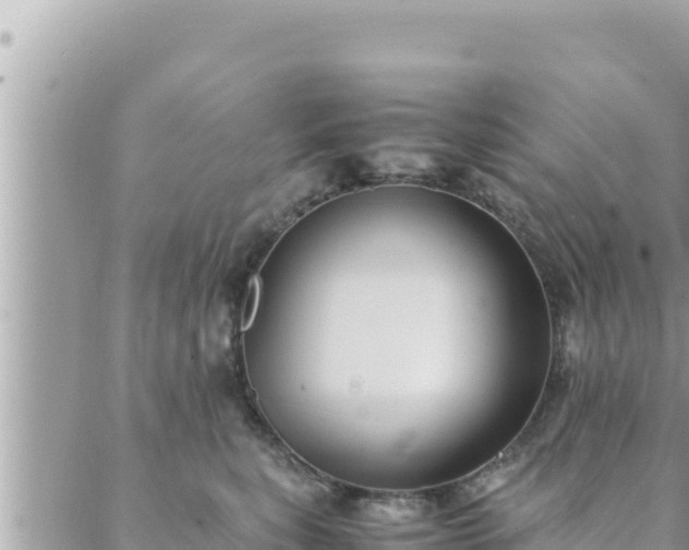 X0000088600567200706011205