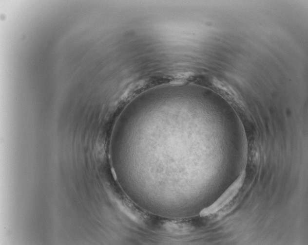 X0000088600568200706011205