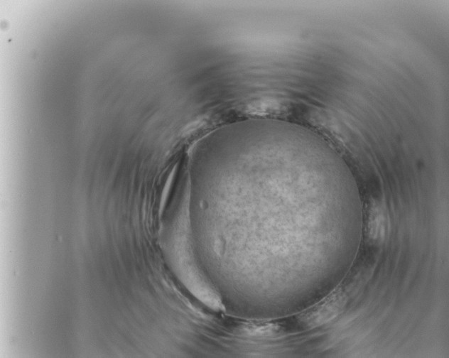 X0000088600569200706011205