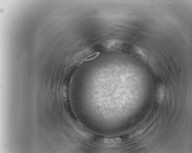 X0000088600571200706011205