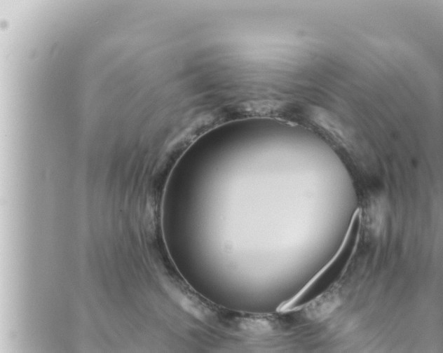 X0000088600572200706011205