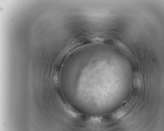 X0000088600573200706011205