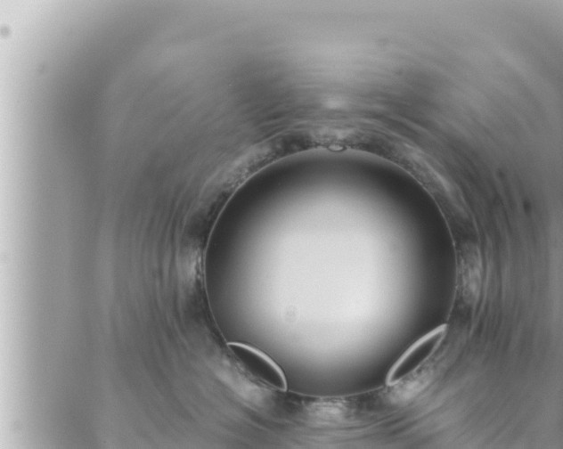 X0000088600574200706011205