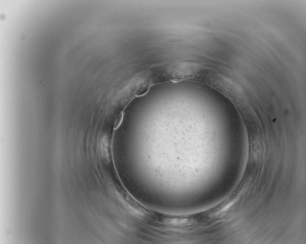 X0000088600575200706011205