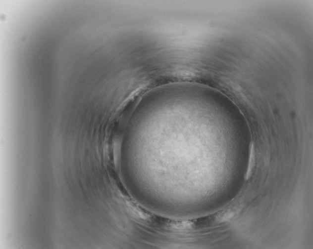 X0000088600576200706011206