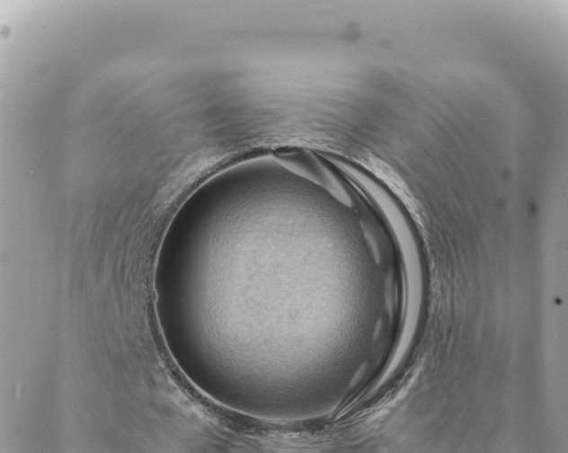 X0000088600577200706011205